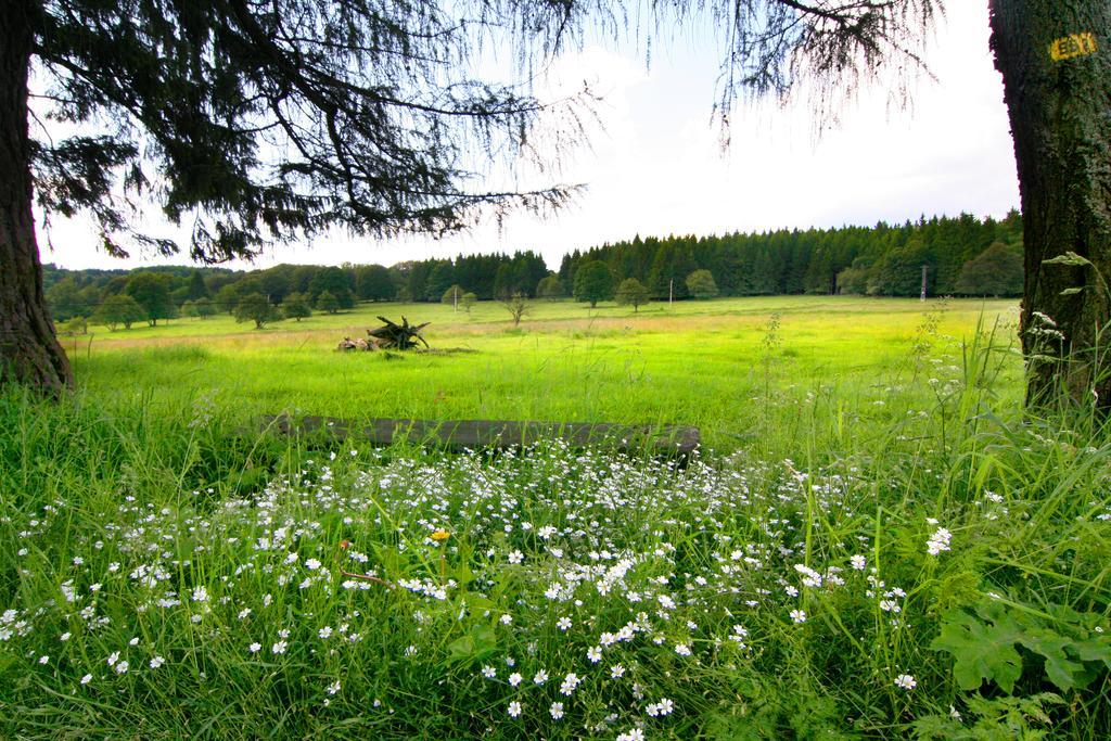 Penzion Muflon Bela nad Radbuzou Exterior photo